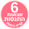 <strong>6 שבועות ניסיון מלאים</strong>